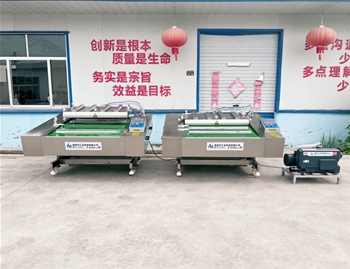 1000型單封、雙封滾動真空包裝機(jī)